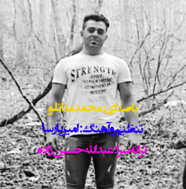 محمد مدانلو دتر